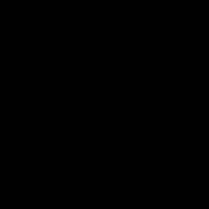 Meet your Posher, Hazel